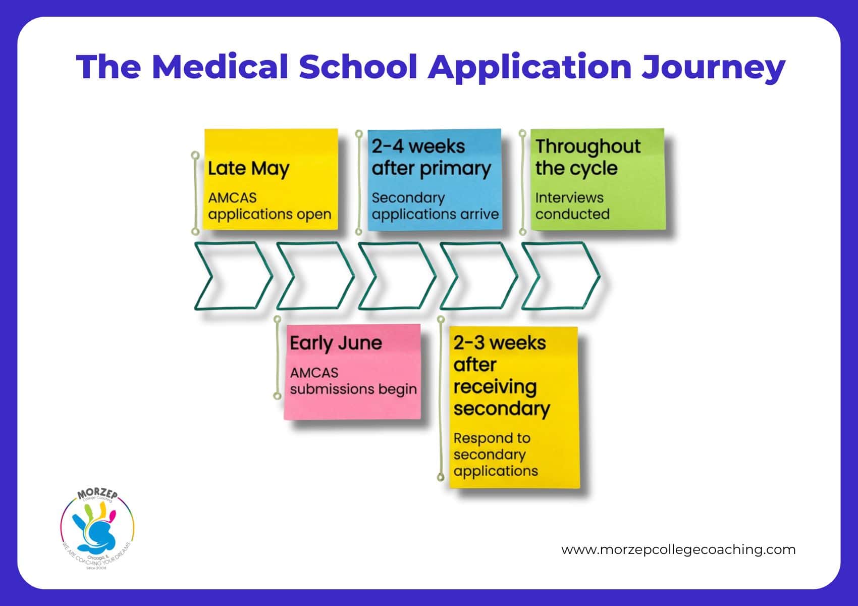 A timeline graphic outlines the medical school application process from AMCAS submission in early June to interviews, highlighting key steps and timeframes.